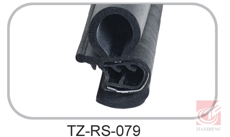 TZ-RS-079