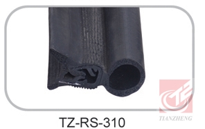 TZ-RS-310