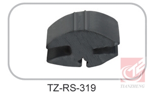 TZ-RS-319