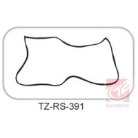 TZ-RS-391 Rubber Seal Geometry Profile