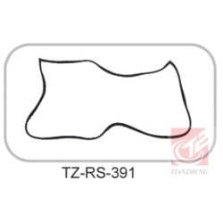 TZ-RS-391 Rubber Seal Geometry Profile